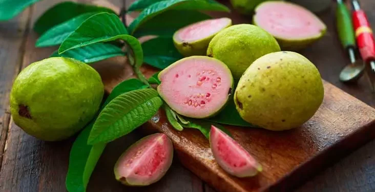 Guava