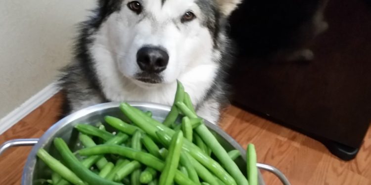 Green beans