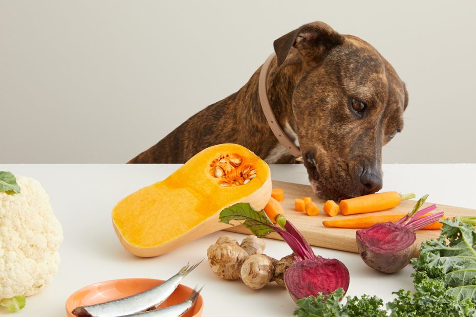 3 Super foods for dogs