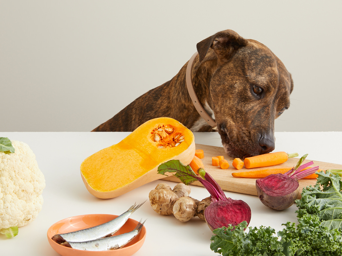 3 Super foods for dogs