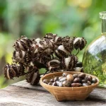 castor oil