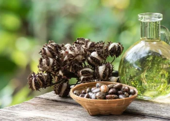 castor oil