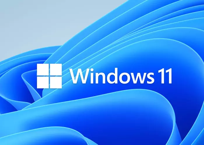 Windows 11
